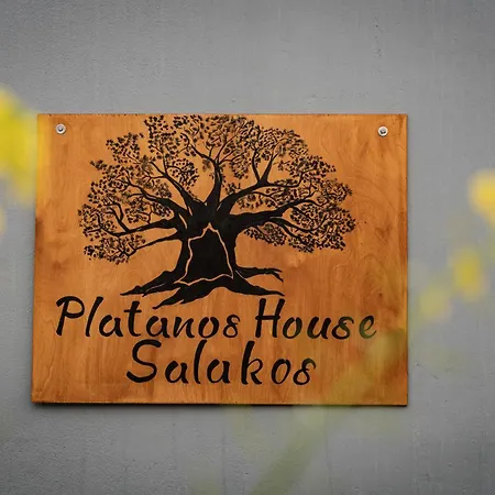 Hébergement de vacances Platanos House